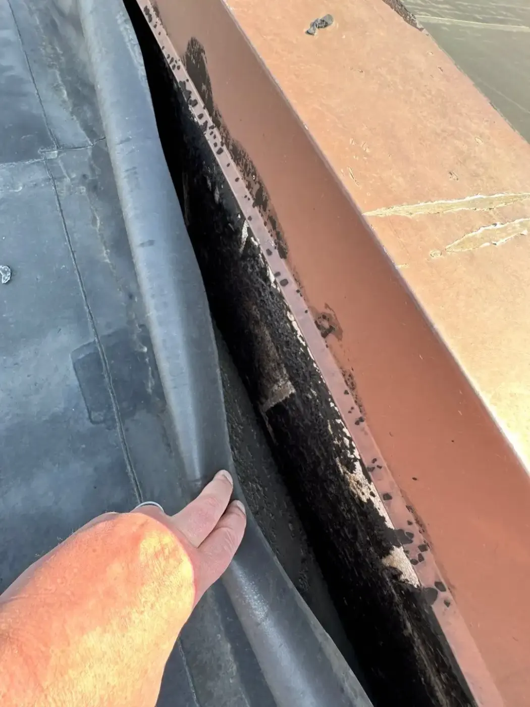 Tarping and dry-in on a Attica commercial roof